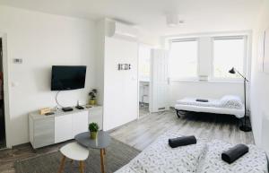 维斯普雷姆Central Apartments的白色的客厅配有沙发和桌子