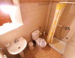 霍里顿图丽曼纳奇旅馆的一间带水槽、卫生间和淋浴的浴室