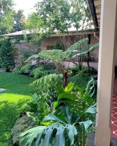 危地马拉安地瓜Ojala的一座花园,在房子前面种植了绿色植物