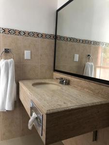 科利马Hotel San Joaquin SA de CV的一间带水槽和大镜子的浴室