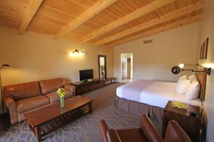 布埃纳维斯塔Mount Princeton Hot Springs Resort的酒店客房,配有床和沙发