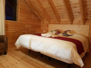 比桑Refuges des Hauts的小木屋内一间卧室,配有一张床