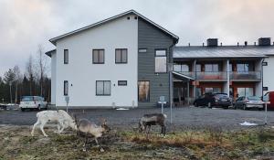 阿卡斯洛姆波罗Hotel Lost In Ylläs的一群鹿站在房子前面