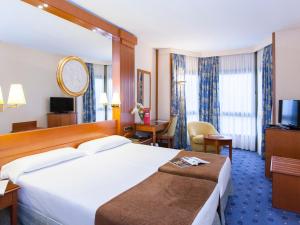 洛格罗尼奥Hotel los Bracos的酒店客房设有一张大床和一台电视。