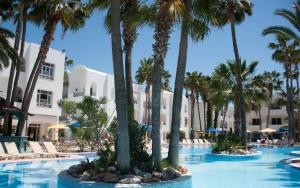 哈马马特Hotel Nesrine Hammamet的一个带棕榈树和躺椅的度假游泳池