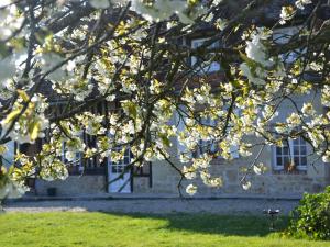 利雪Maison d'Hôtes la Bihorée的建筑物前有白色花的树