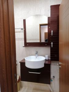 西格伏沙尔克Къща за гости ЕКО的一间带水槽和镜子的浴室