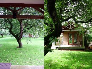维斯贝希Kenilworth Garden Accomodation的两幅房子和一棵树的照片