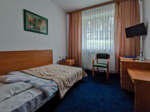 维斯瓦维斯拉戈维塔度假村的配有一张床、一张书桌和一扇窗户的酒店客房