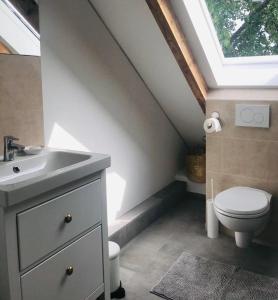 汉诺威Martins Guesthouse Zimmer的浴室设有卫生间和带天窗的盥洗盆。