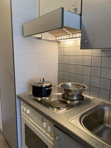 塔什St Martin Apartments的厨房配有带水槽的炉灶和2个平底锅