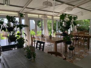 LadybrandCranberry Cottage的餐桌上种有盆栽植物的用餐室
