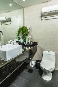 Tocumen利安德机场赌场酒店的一间带水槽、卫生间和镜子的浴室
