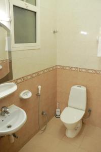 塞拉莱阿尔尼罗河酒店 的一间带卫生间和水槽的浴室