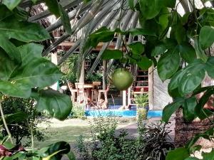 帕洛米诺Chez Oliv的享有带游泳池的房子的景色