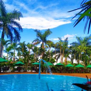 伊加拉佩Hotel Fazenda Vale Amanhecer的棕榈树前带喷泉的游泳池