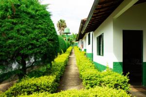 伊加拉佩Hotel Fazenda Vale Amanhecer的一条小径,毗邻一座绿色灌木丛的房屋