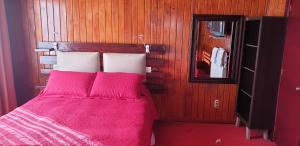蓬塔阿雷纳斯La Casa Guesthouse的一间卧室配有一张带粉色床单和镜子的床