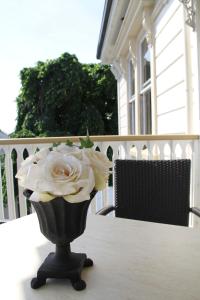 基督城梅尔瓦拉庄园酒店的一张桌子上满是白玫瑰的花瓶