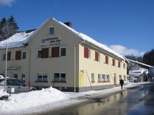 冬天的Hotel & Restaurant Edelweiss Alpine Lodge