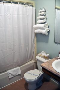 特威林盖特安可尔套房酒店的浴室配有白色的浴帘和卫生间