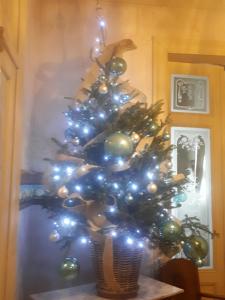 布兰肯贝赫多宏特住宿加早餐旅馆的花瓶里装有灯的圣诞树
