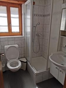 WilerImseng的带淋浴、卫生间和盥洗盆的浴室
