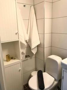 克里斯蒂安桑德Kristiansund Apartments的一间带卫生间和淋浴的小浴室