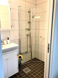 克里斯蒂安桑德Kristiansund Apartments的带淋浴和盥洗盆的浴室