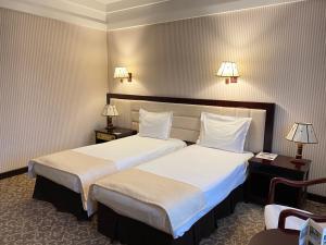 基辅索菲福斯科萨德酒店的酒店客房设有两张床和两盏灯。