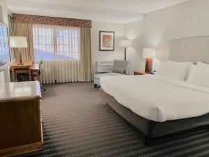 Springfield斯普林菲尔德智选假日酒店的酒店客房设有一张大床和一张书桌。