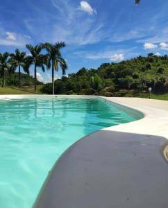 Antônio PradoRaposo Vale Encantado Pousada的一座拥有蓝色海水和棕榈树的游泳池