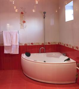 久姆里埃里桑德拉珀尔宫酒店的带浴缸的浴室,铺有红色瓷砖