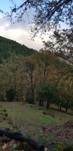 坎德莱达Cabaña Castañarejo的一片树木和山丘的田野