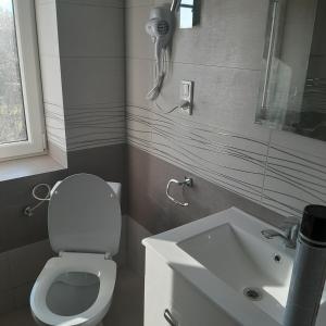泰里克兹Apartament Orlik的浴室配有白色卫生间和盥洗盆。