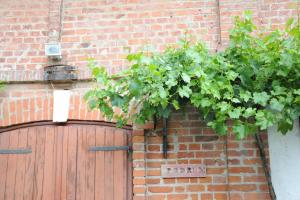 KutjevoWellness B&B Winery Sontacchi的挂在砖墙上的木门植物