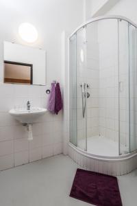 俄斯特拉发Hotel VP1的带淋浴、盥洗盆和镜子的浴室