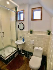 鲁恰内尼达Pod lipą的带淋浴、卫生间和盥洗盆的浴室
