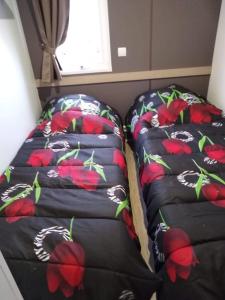 瓦尔拉普拉日SABLE DU MIDI chez gégé的两个枕头,上面有红色的鲜花