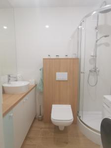 斯武普斯克Apartament uTymka的浴室配有卫生间、淋浴和盥洗盆。