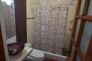纳斯卡卡米鲁兹旅馆的带淋浴帘和卫生间的浴室