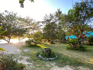 象岛邦宝滩度假酒店的草丛里放着垃圾的花园