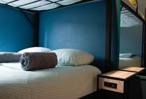 圣地亚哥California Dreams Hostel - Pacific Beach的蓝色墙壁间的一张床位