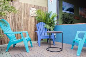 圣地亚哥California Dreams Hostel - Pacific Beach的庭院里设有两把蓝色的椅子和一张桌子