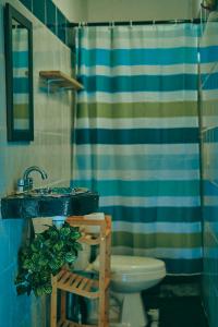 萨尤利塔Blue Pepper Beds Sayulita的一间带水槽、卫生间和淋浴的浴室