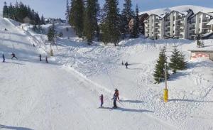 德拉格布拉特Hotel Adrenalin的一群人沿着雪覆盖的斜坡滑雪