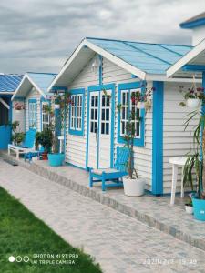 茹里洛夫卡Blue Bungalow Jurilovca的一排蓝白沙滩小屋