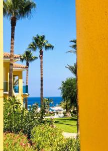 普罗塔拉斯玛拉玛海滩度假酒店的棕榈树和大海背景的房子