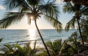 平圭Hekaya Zanzibar的棕榈树海滩上的海景