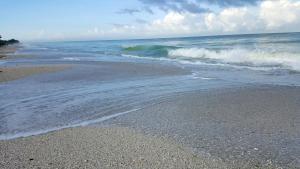 威尼斯Casey Key Resort - Gulf Shores的海岸上波浪 ⁇ 的沙滩